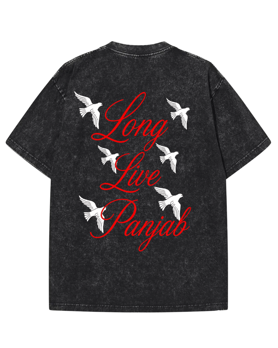"Long Live Panjab" Vintage Wash Graphic Tee – White Doves & Cursive Script Streetwear T-Shirt